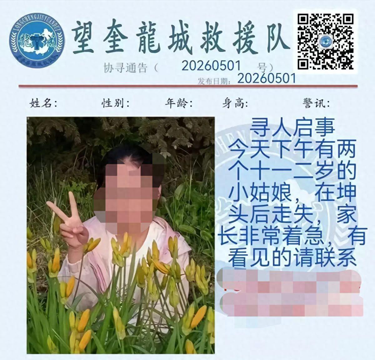 5月1号下午，两个丁姓小姑娘，一个十一岁，一个十二岁，正是懵懂又爱跑爱闹的年纪，