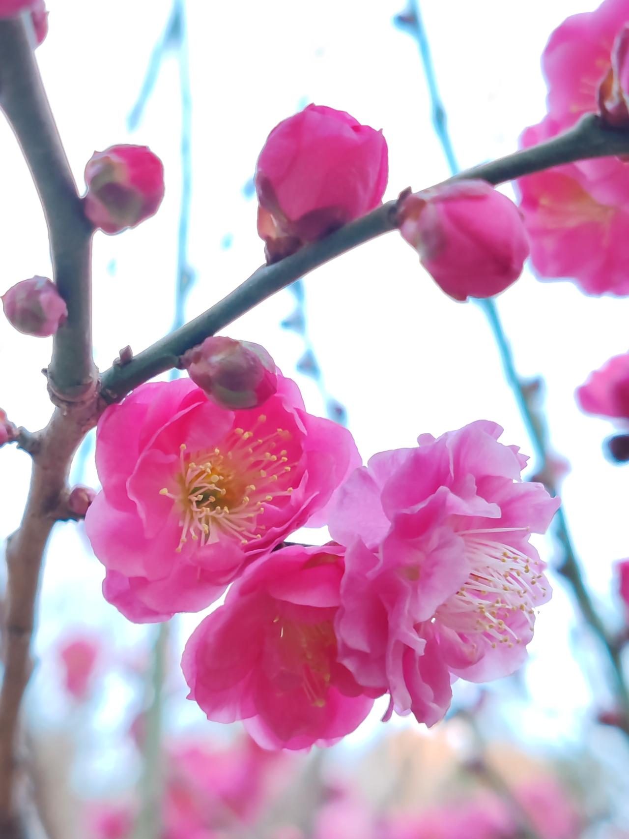 我家老人十分明智，两位老人直至离世，都未曾跟我们提及存款和分家之事。如此一来，孩