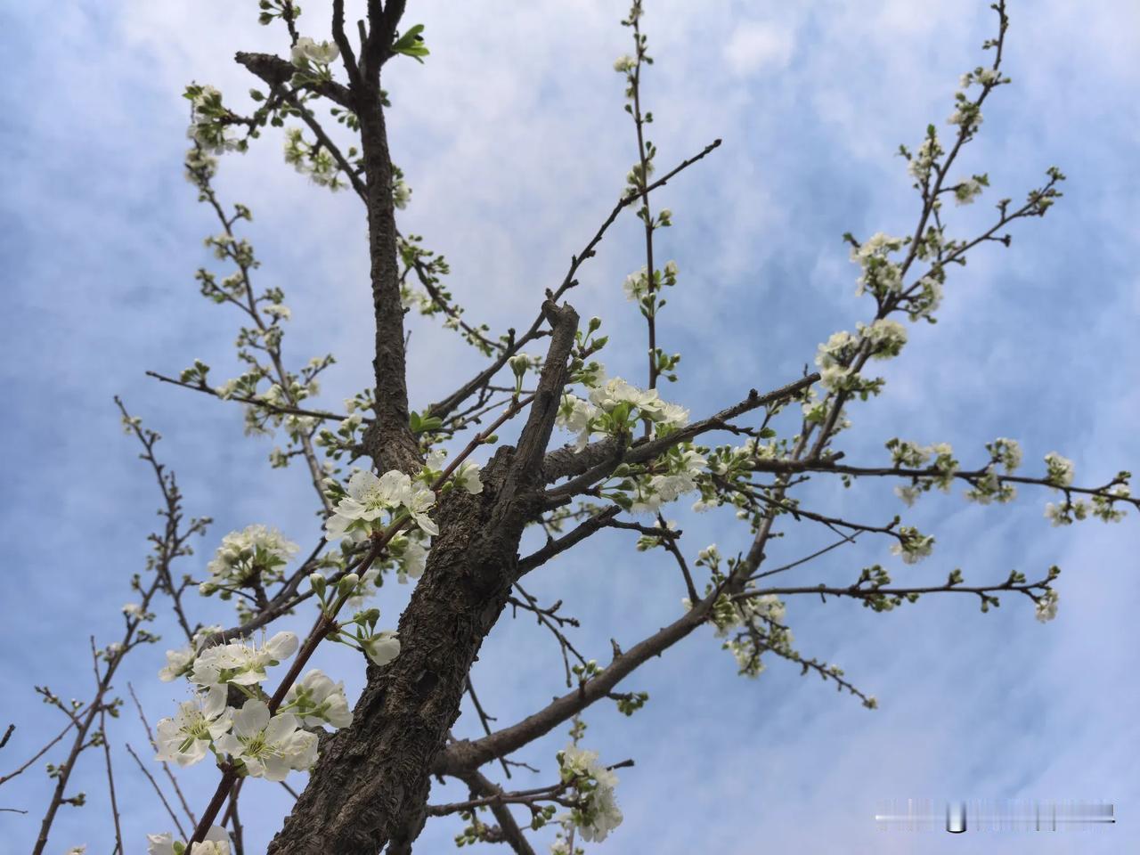 有头条网友留言咨询：我们公司准备注销，财务人员想把公司资产负债表表清零，用实收资