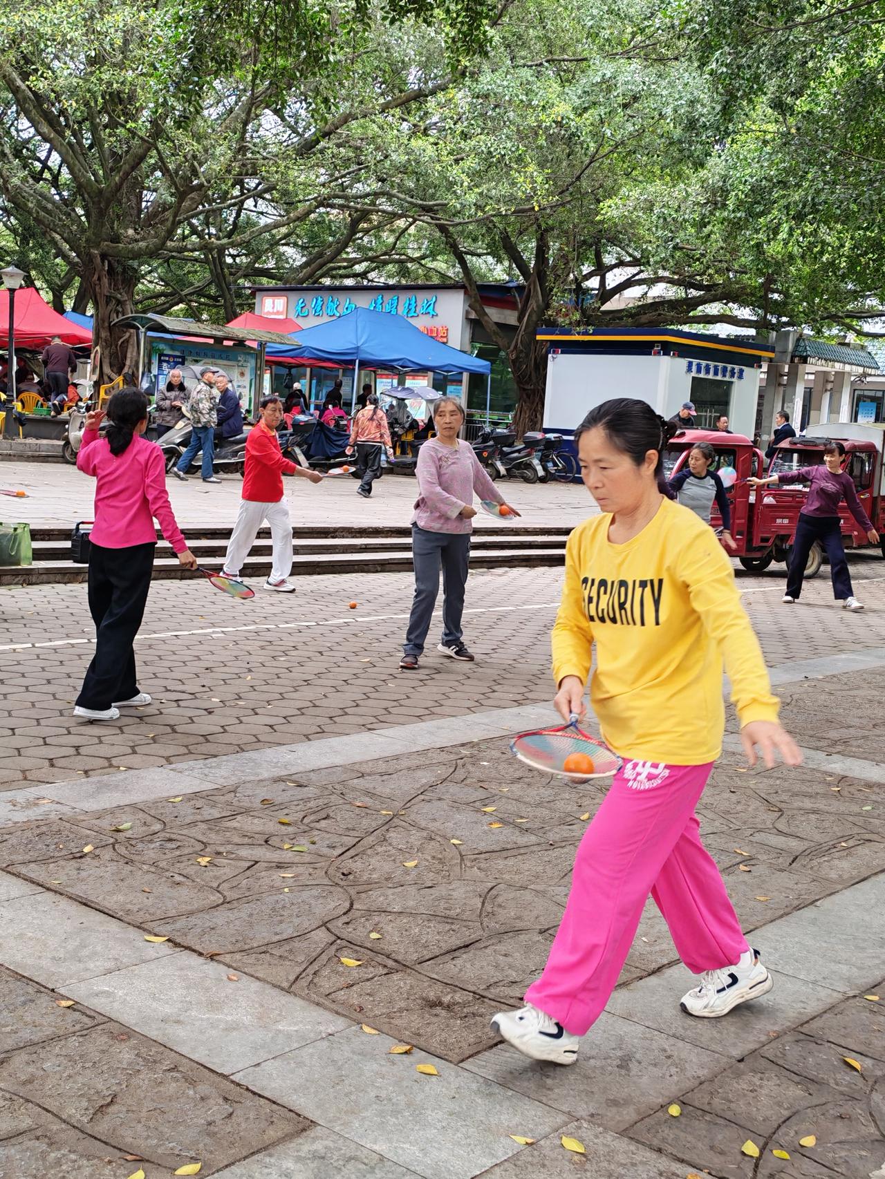 今日公园健身打卡
清晨的大榕树下，和姐妹们一起打柔力球，是每天最治愈的时光。球拍