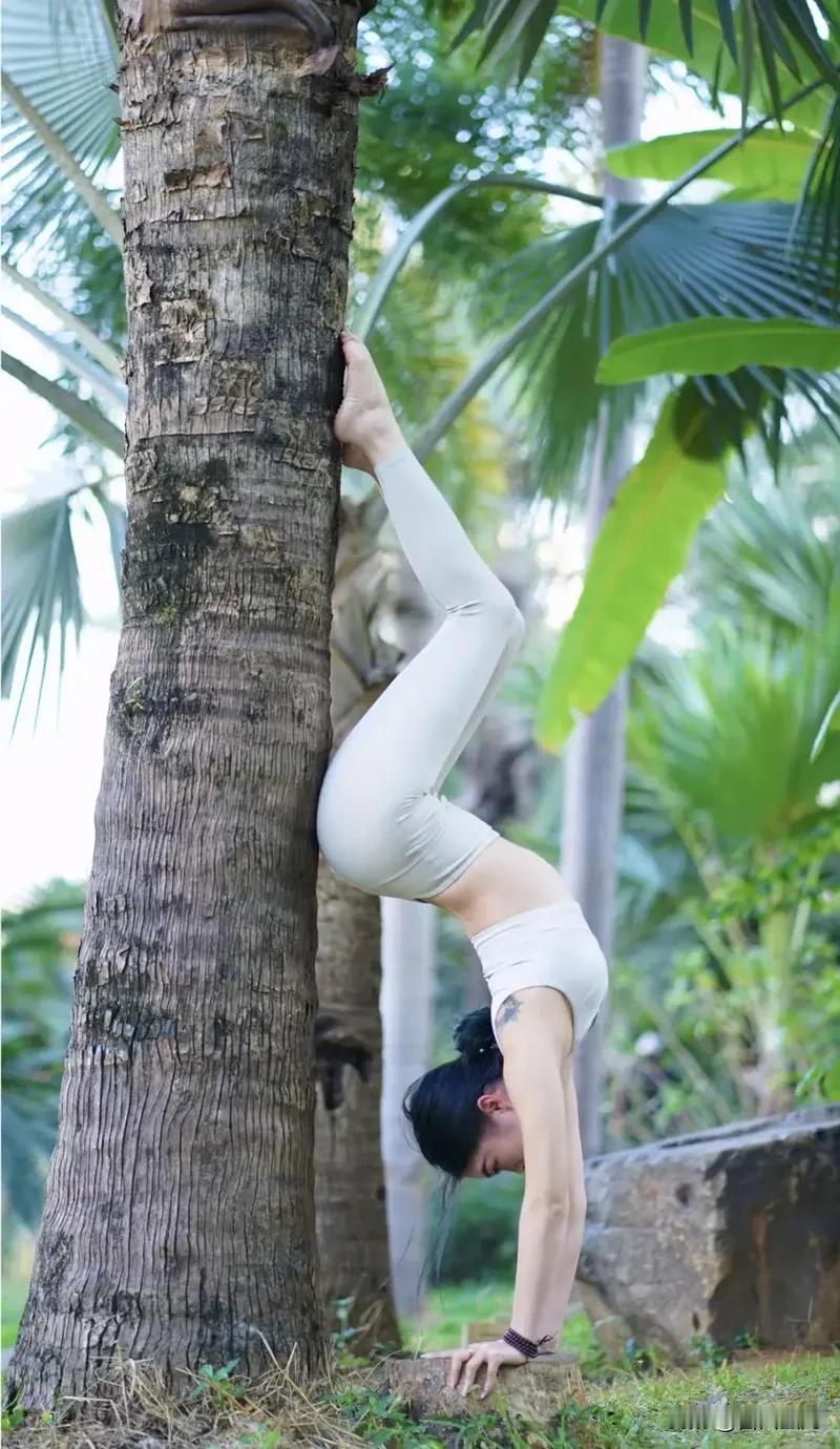 情感的世界，南宫飞雪爱上静空因，静空因也因南宫飞雪而步入空灵世界，以静养心，以心
