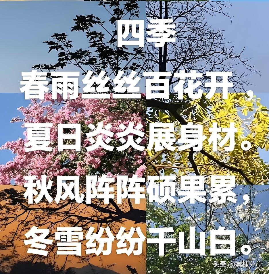 这个问题好有诗意！
用四季的意象提问，确实抓到了秋的独特韵味，我来和你聊聊秋是什