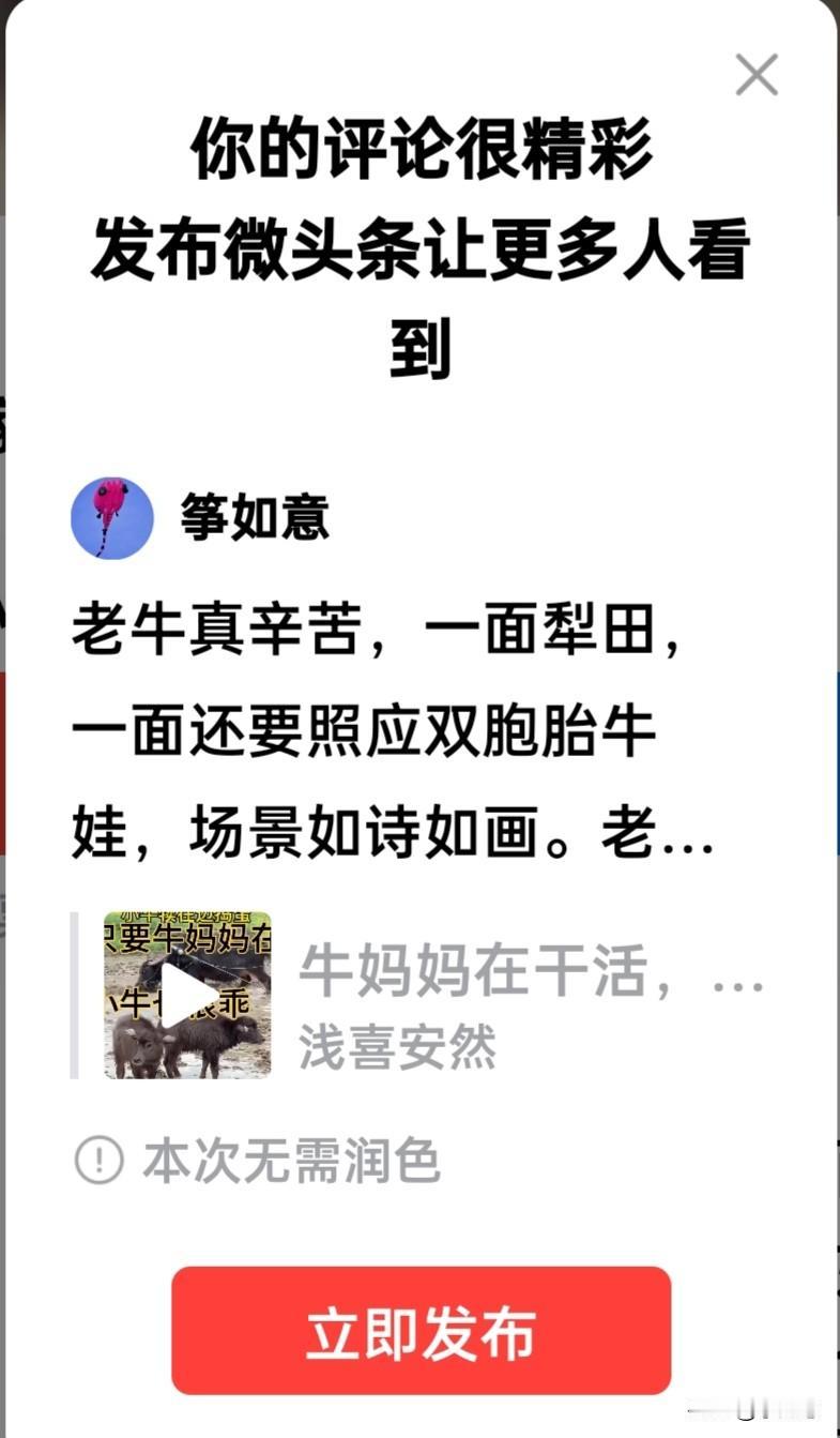老牛真辛苦，一面耙田，一面还要照应双胞胎牛娃，场景如诗如画。
老农号令老牛行走合