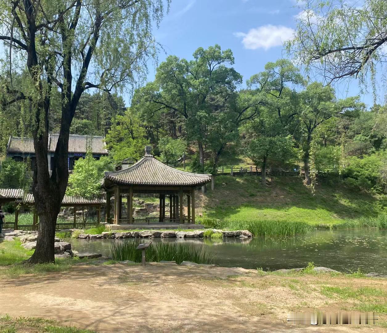 马上高考，心情那是五味杂陈。课桌上小山似的书本和试卷，见证了无数个挑灯夜战的日子