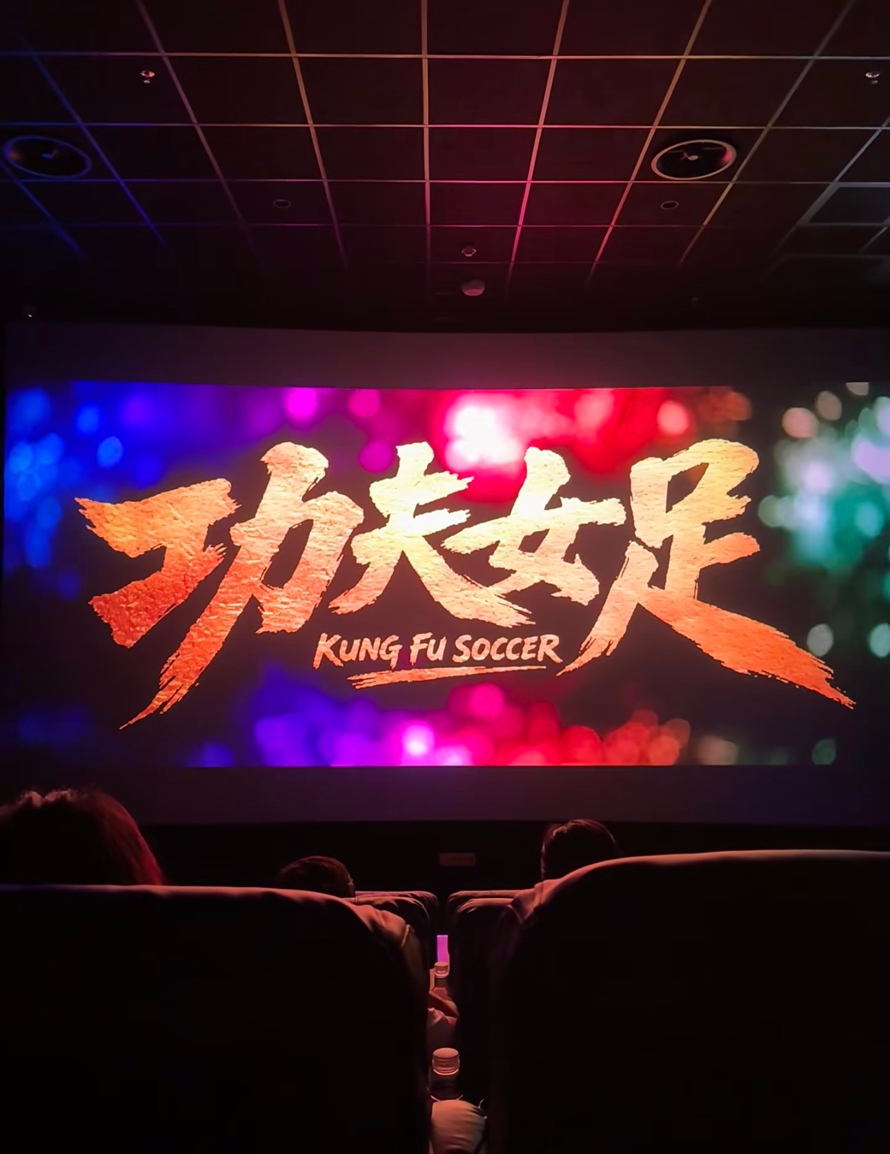 关于《功夫女足》，电影是18:40开始的，我是19:05离场的…