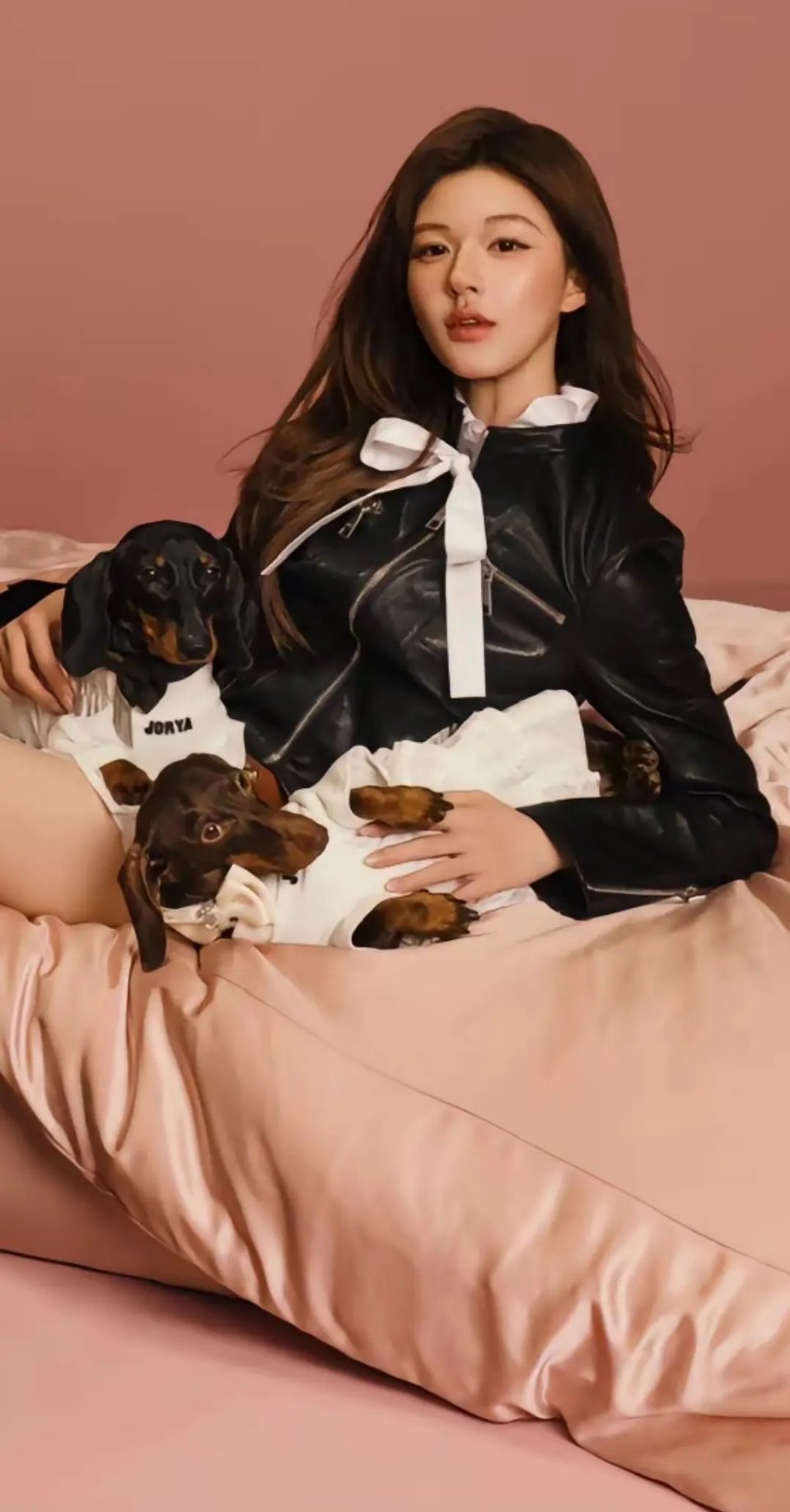 赵露思怎么天天带着她的两只狗 ​​​