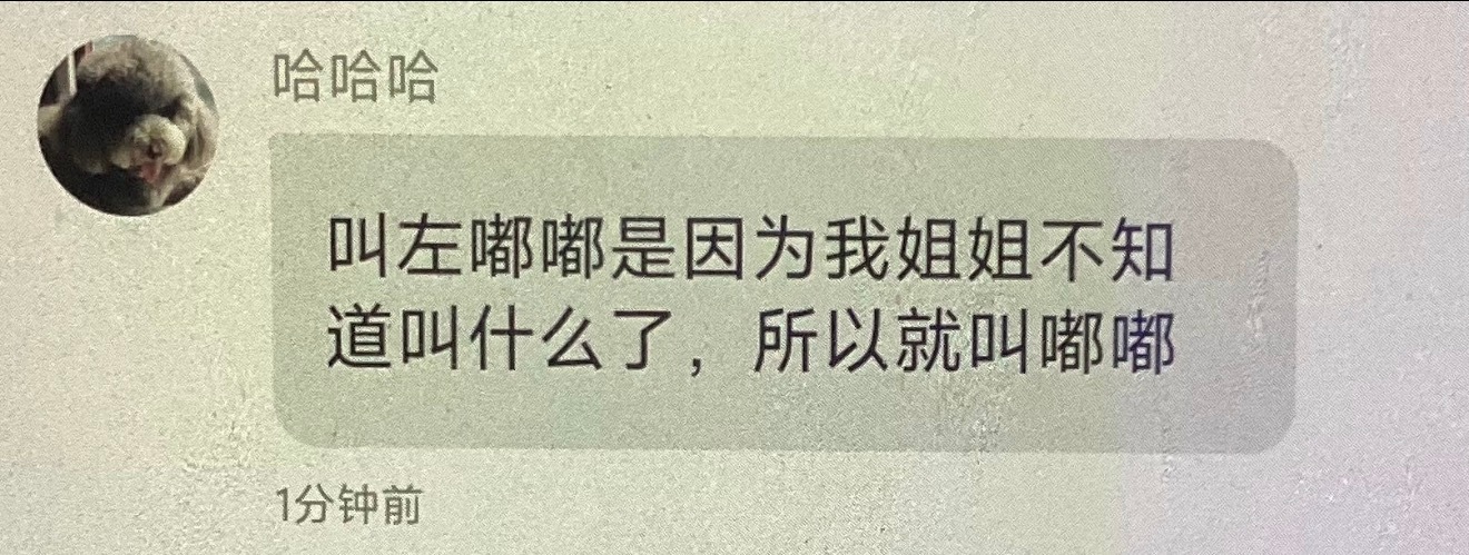 今天泡泡重启了 来看看我们互动的神泡泡的合集吧🤲🥺左奇函李浩宇