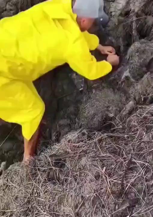 入库，江忘不了你，没钱呐，师娘啊。