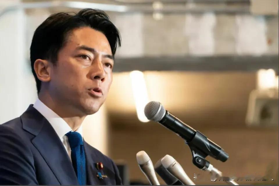 日本防务大臣刚在香会开口，美国盟友的裂缝就已经当着全场摊开了——小泉问的是安全承