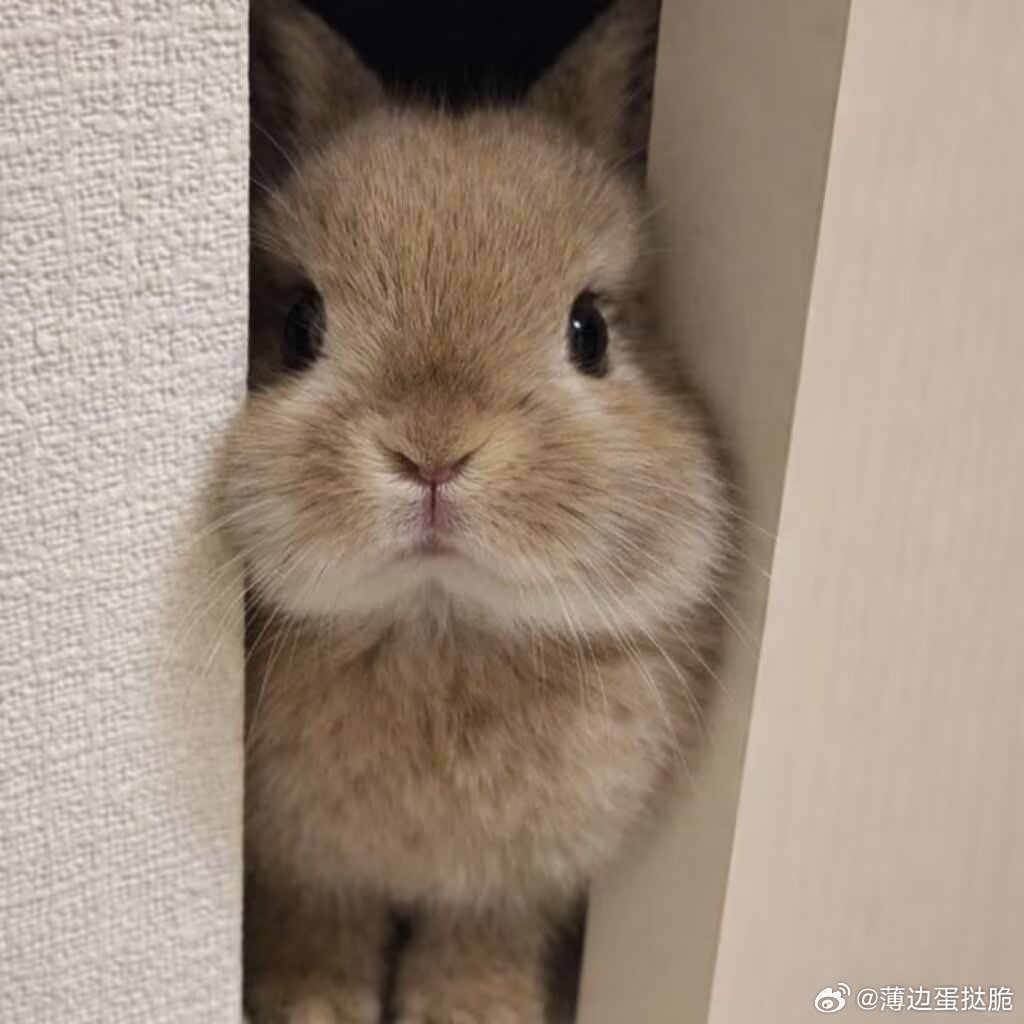 我妹妹会不会来泡泡想听碎碎念了 ​​​