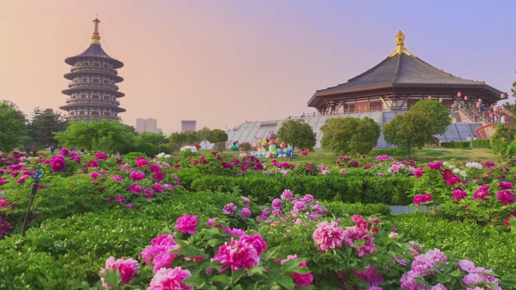 【趣联联趣】
上联：？
下联：恰似牡丹羞
【一字千金】
《赏读学子踏青图》
青衣