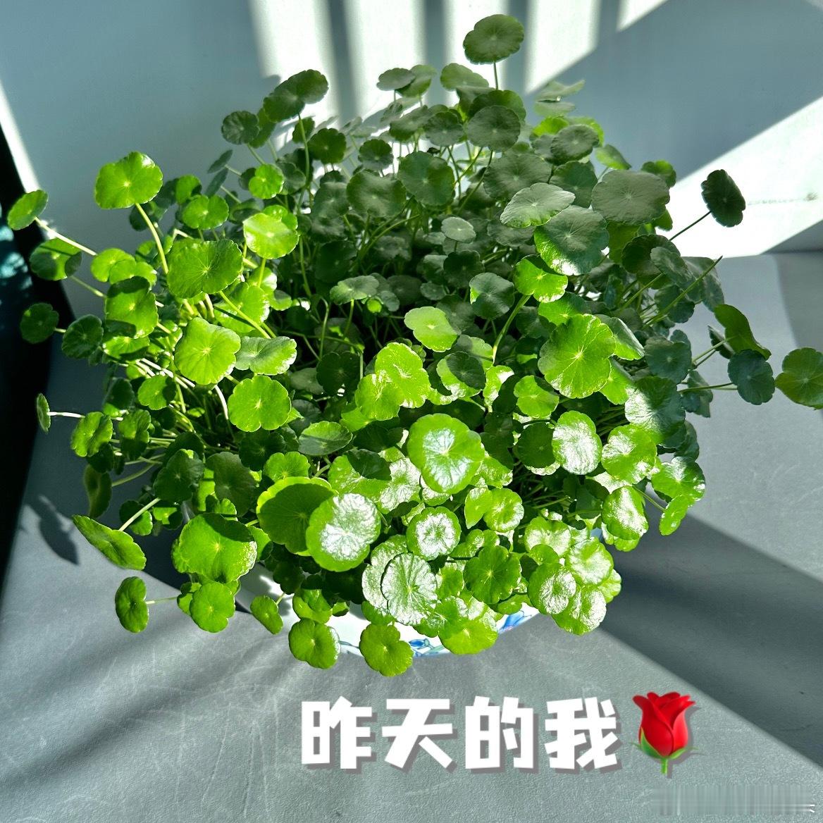开工大吉？开工太急！ ​​​