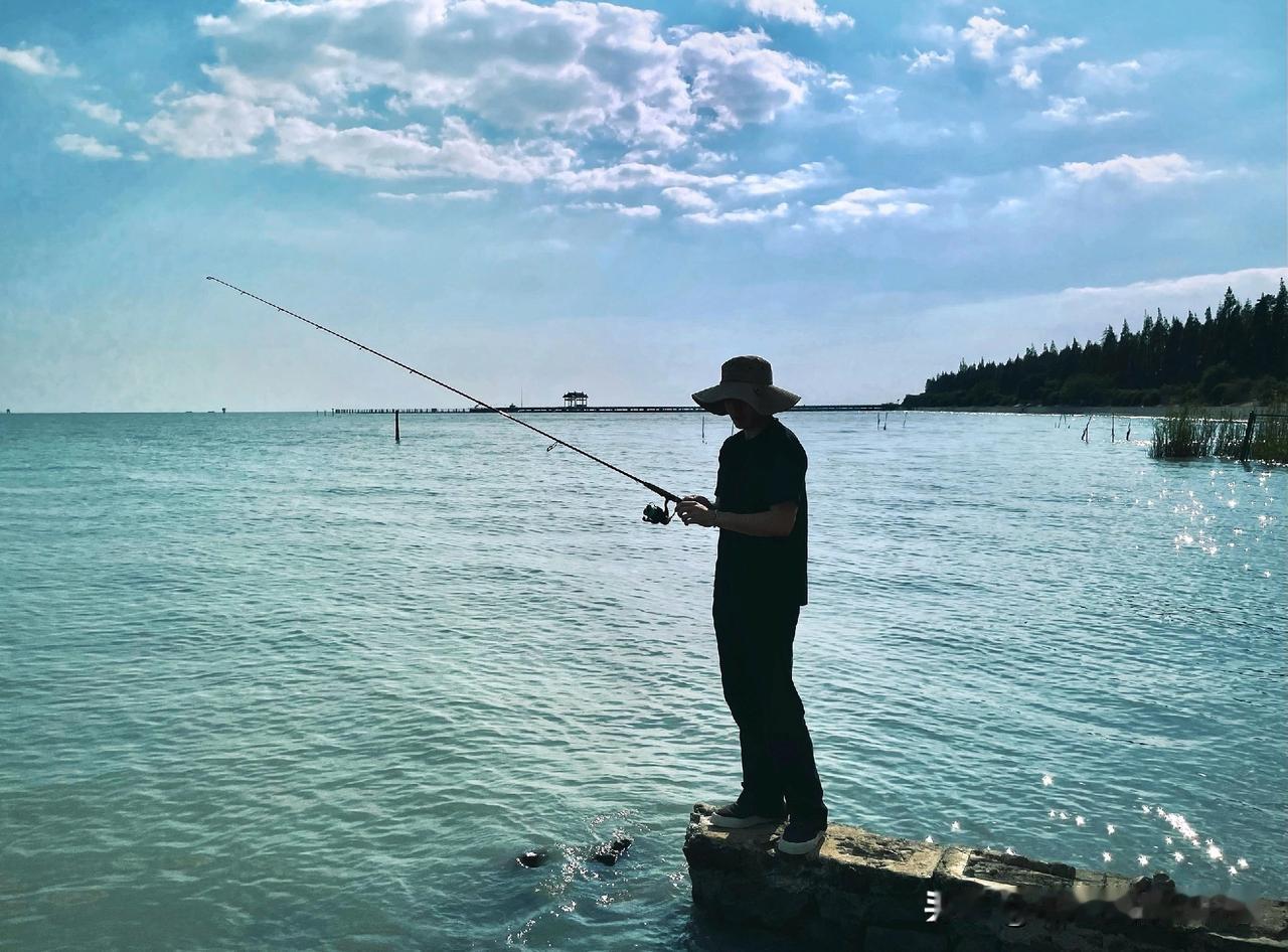 你知道世上有“太阳鱼”吗？
我和老伴在北京带外孙，为了买鱼方便，老伴加入了一个网