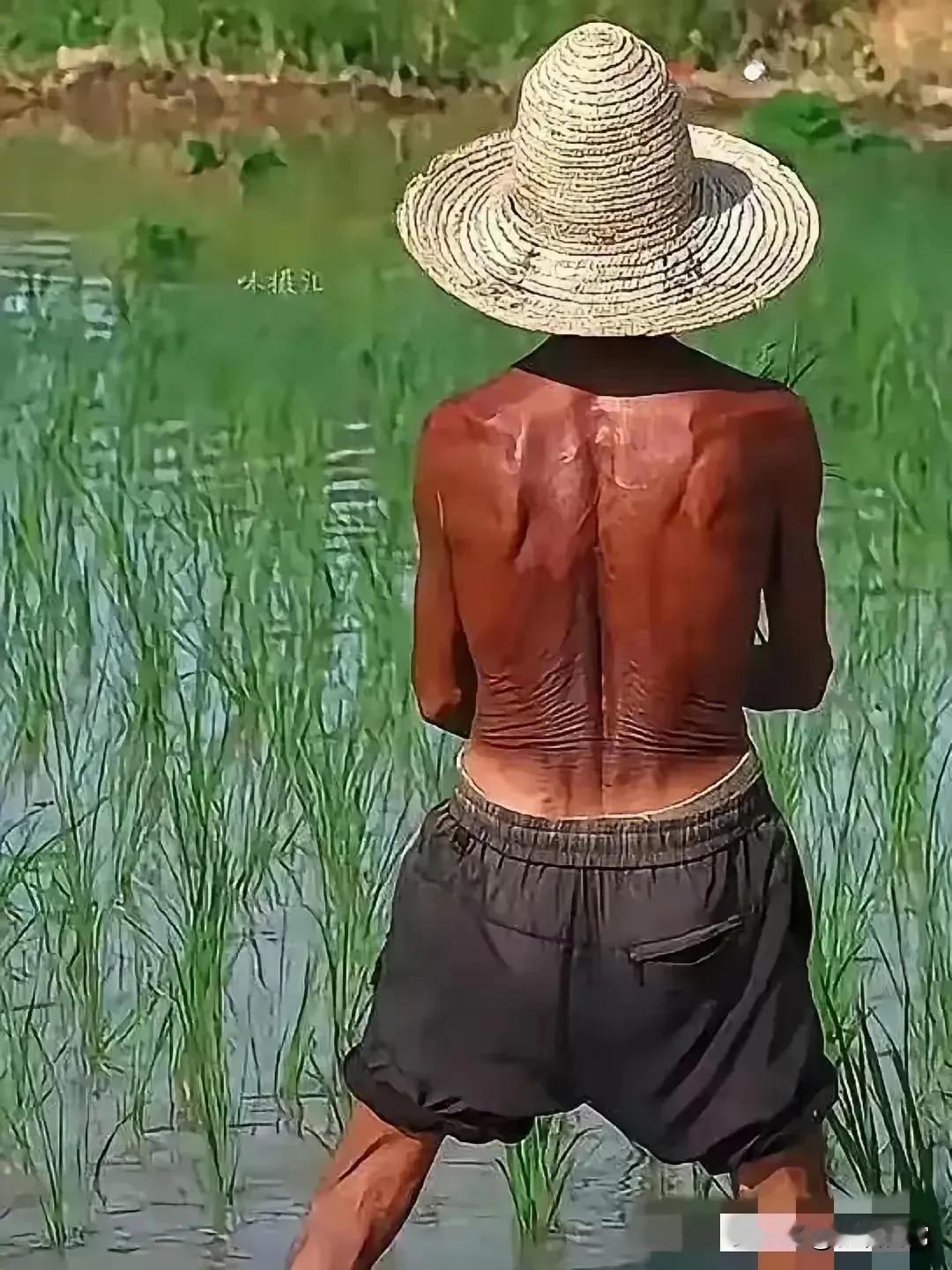 #人这一辈子，什么最值钱#人一辈子，身体健康最值钱💰