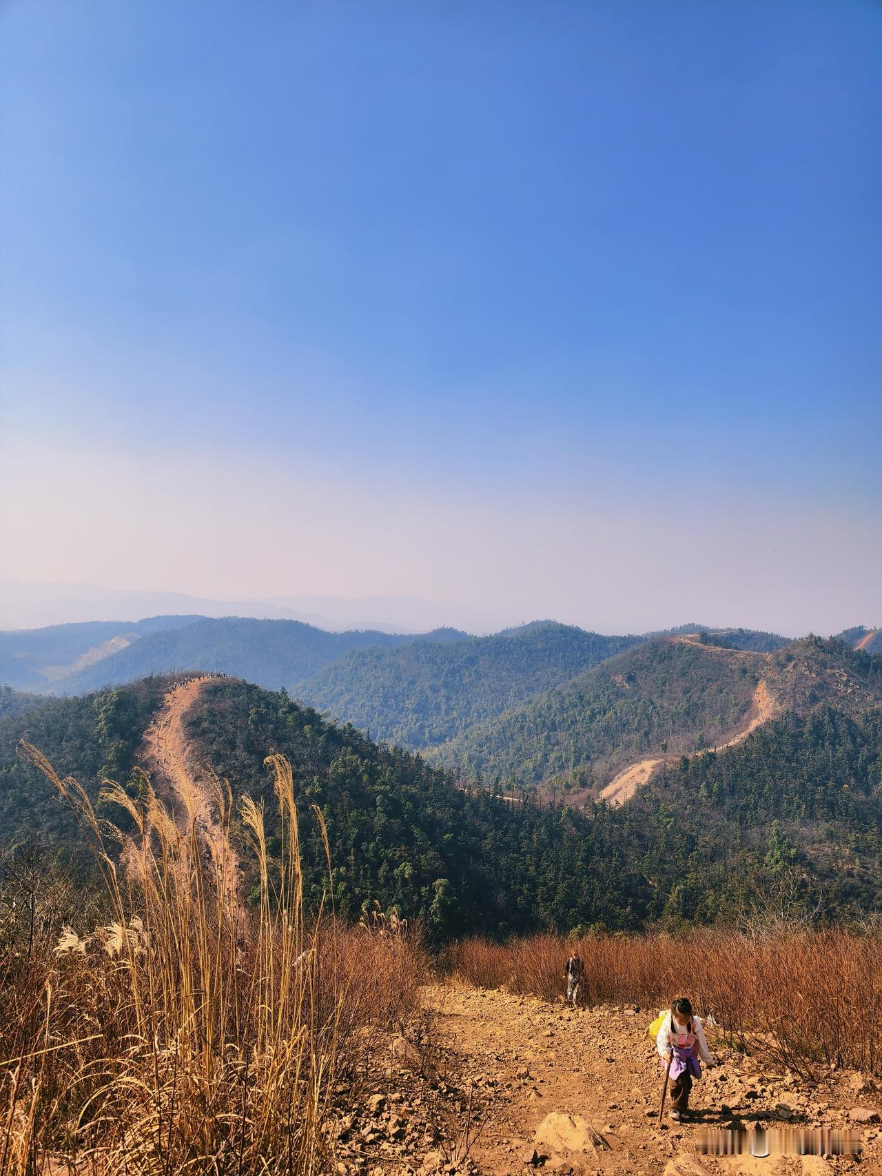 前几天同事的父亲去世了，领导还有几个同事一起去看望，还有很多同事没有去，但要我带