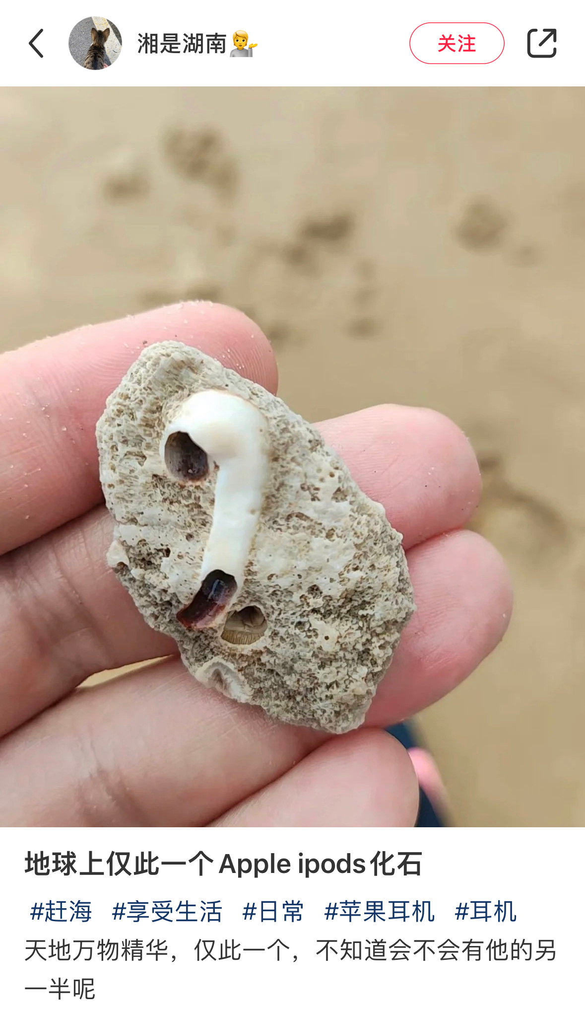 Airpods化石版 ​​​