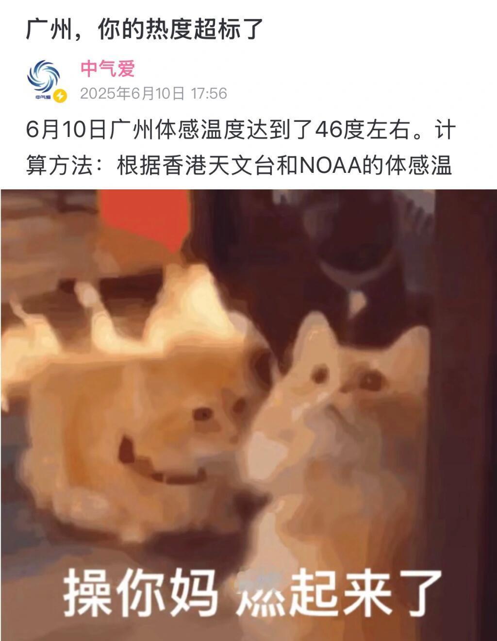 南方晚上比北方白天还热体感46°——祖宗严选流放之地[允悲] ​​​