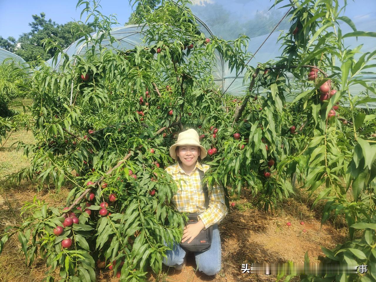 越南老婆辛苦了，跟着我受苦！刚看到有一个留言说你是全网最丑越南媳妇，我看到了立马