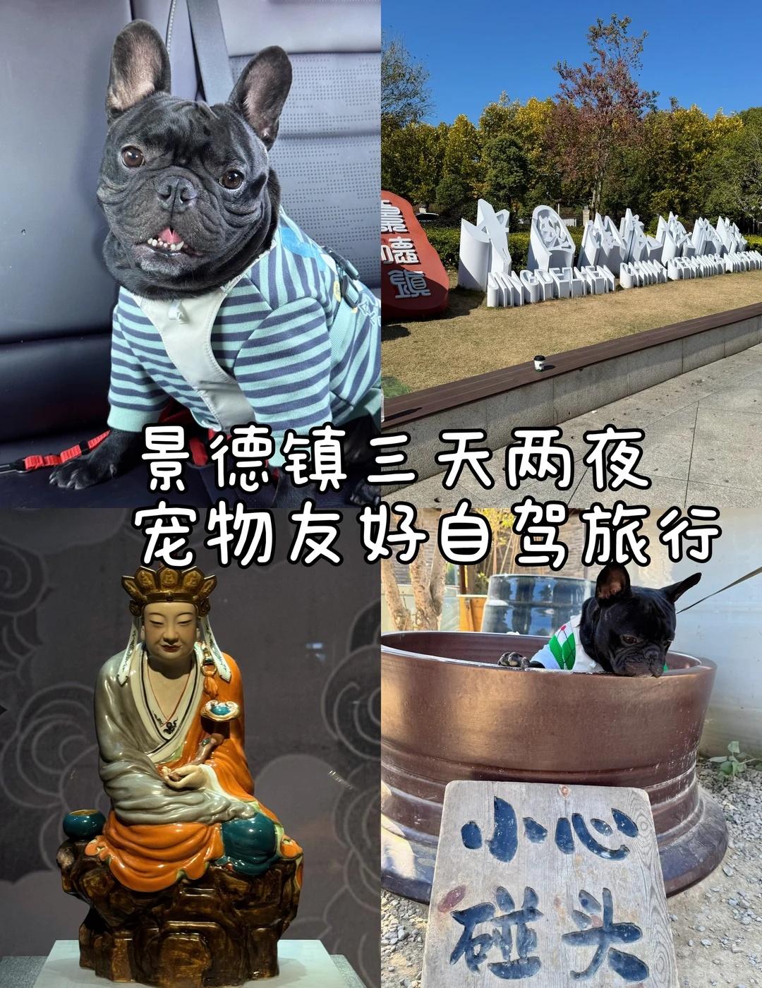 自驾带小狗玩遍全国第二站：江西景德镇
苏州自驾景德镇｜带毛孩子的3天2晚宠友好攻