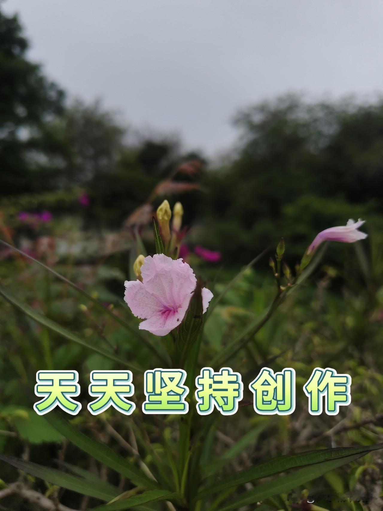 天天写文章，什么时候能有三位数收益？
你天天写文章，是不是也有这样的感受？每天绞