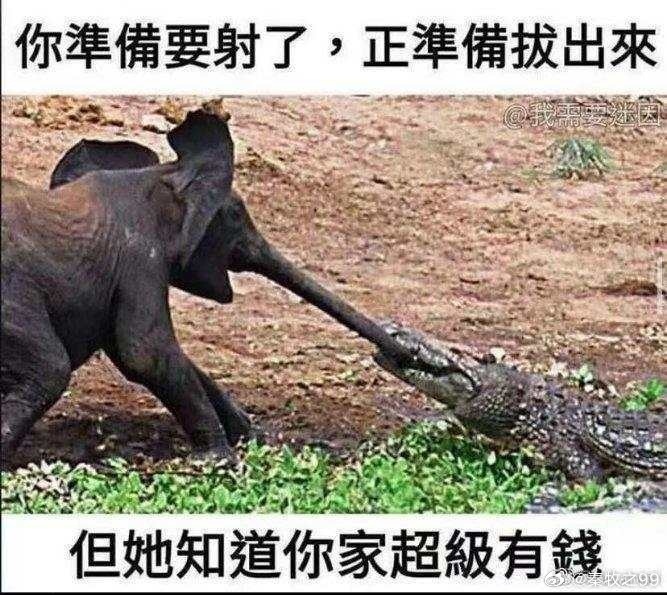 男子冒充罹患绝症大老板专骗女主播为什么只有冒充大老板才能骗到她们啊？好难猜