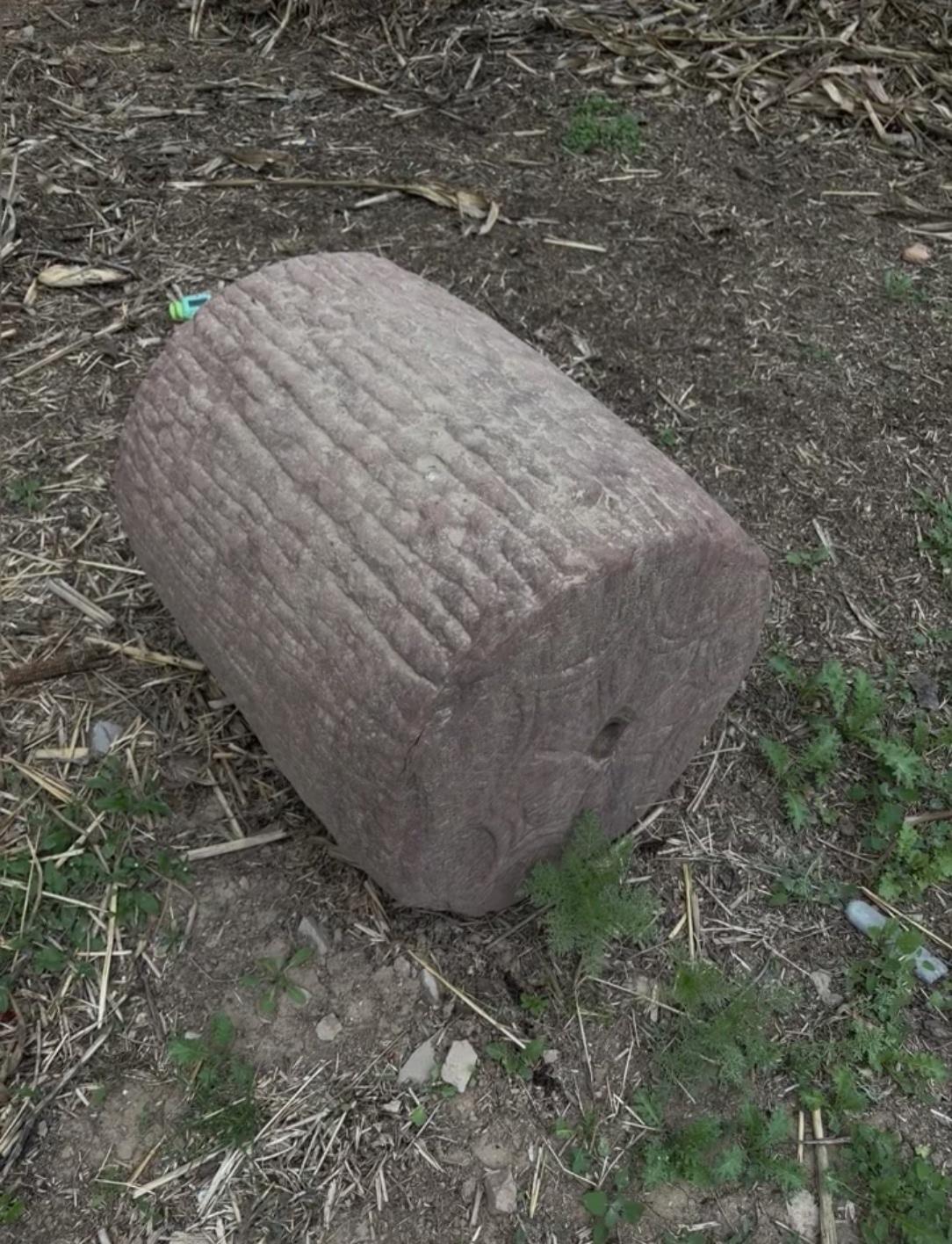 谁认识这是什么？