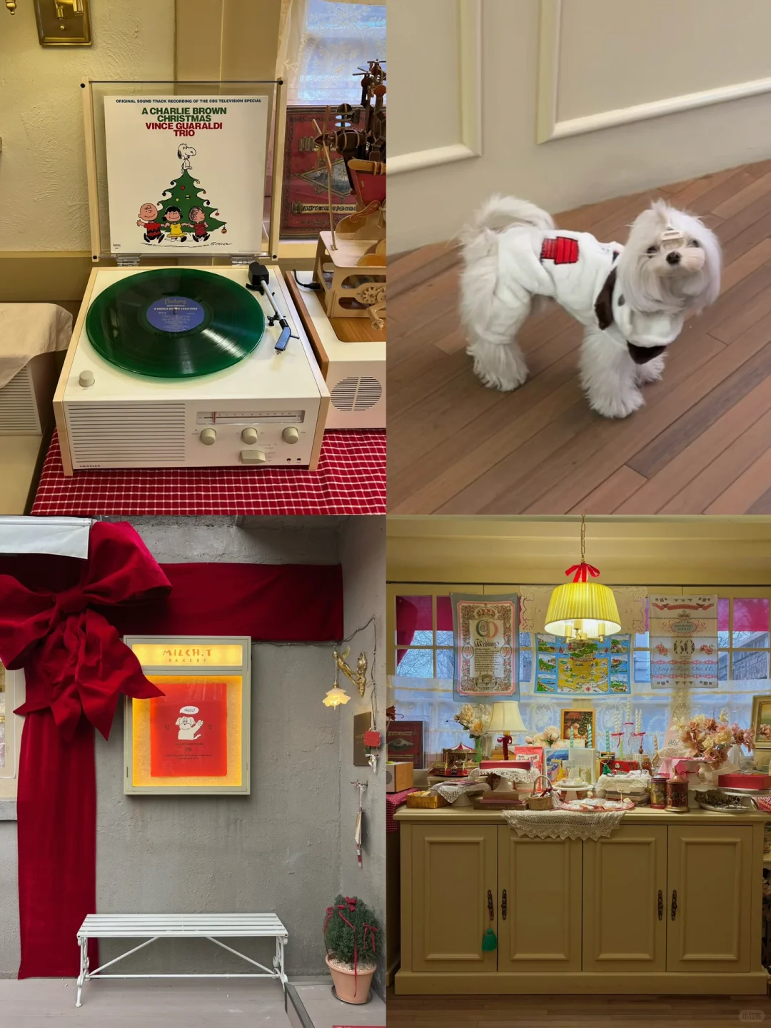 去可爱的小屋子做客𓋜 🍰🐶🎄☕🎁