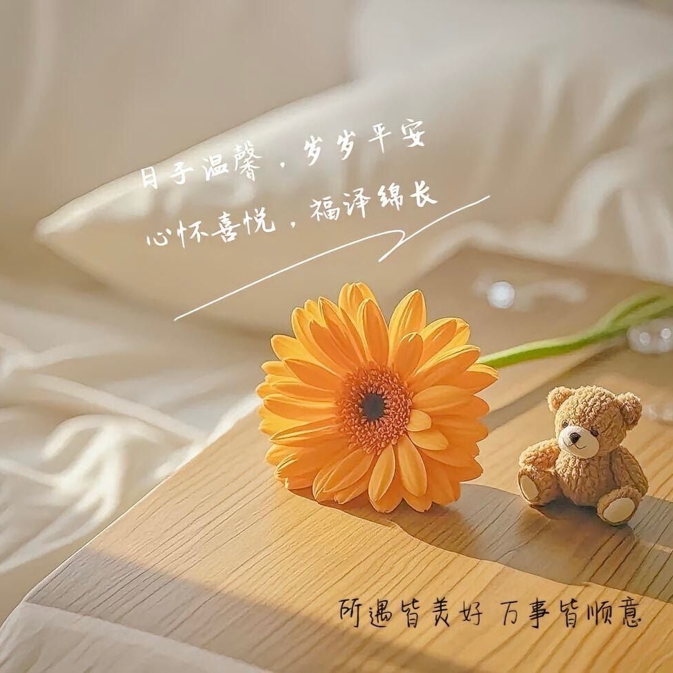 🍃⋆.♡ 𝗖𝗼𝗺𝗽𝗹𝗲𝘁𝗲 ☺︎°.˗ˋˏϩ⊘ϩ𝟞ˎˊ˗不必