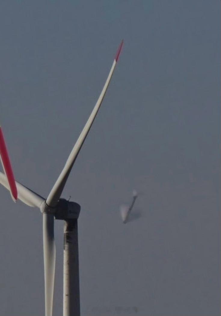 恁就说是不是鳖的风电场被咩了吧这不得来个二次反击