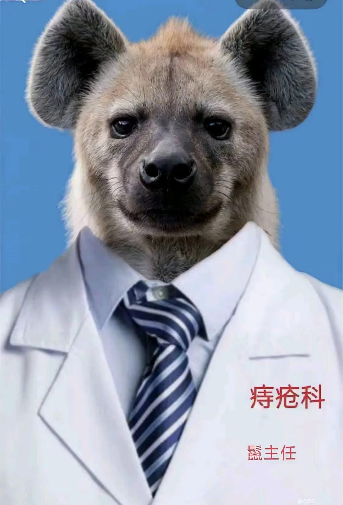 生活中的A1制作让人从笑连连[呲牙]