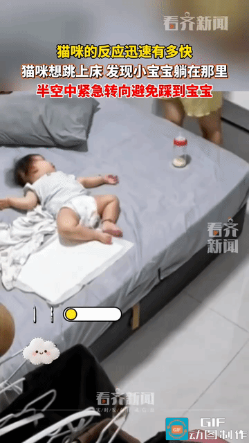 “妈，你床上多了个人！”山东一只暹罗猫，跃至半空才发现主人新添的宝宝，身体本能瞬