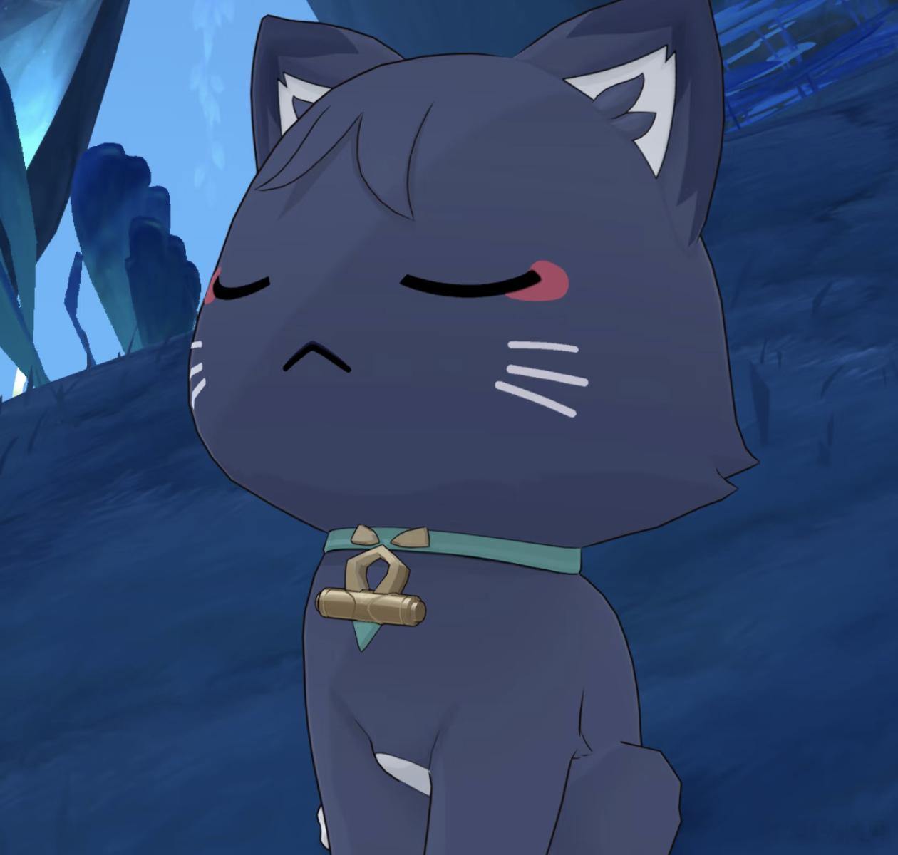 原神散兵夏日游趣狂欢季暑期故事集捡了一只紫薯猫，说说饲养心得我家这只蓝紫长毛小猫