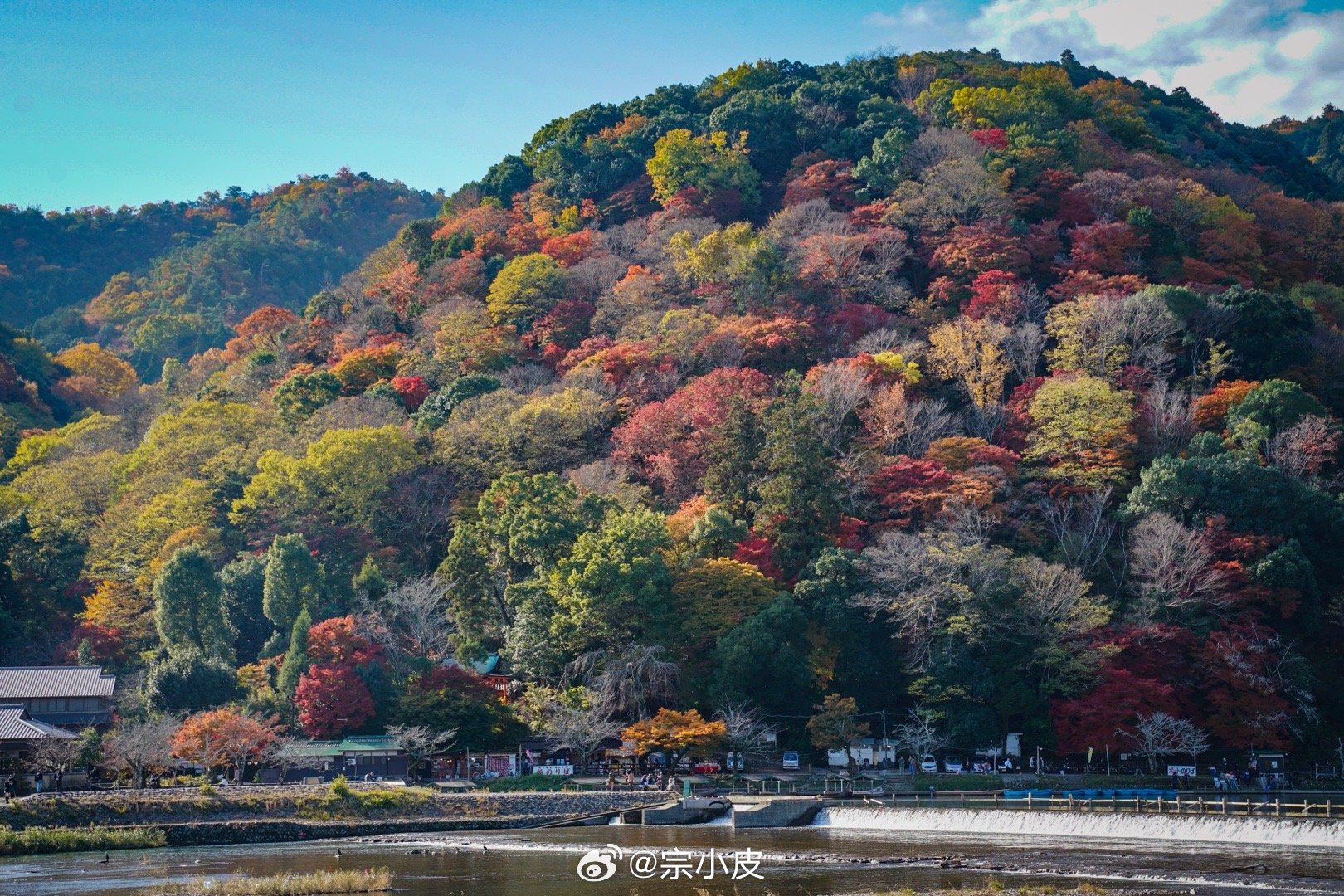 来京都赏枫，最不能错过的就是岚山。夏日这里是满眼绿色的避暑胜地，到了秋季，漫山遍