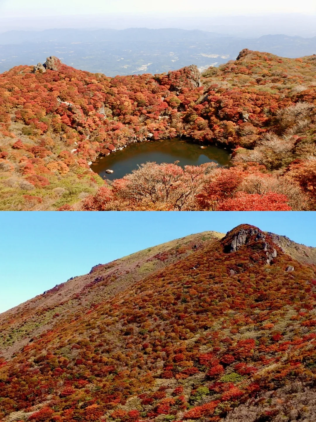 2024登山赏枫！大分县的秋天美得让人想哭😭