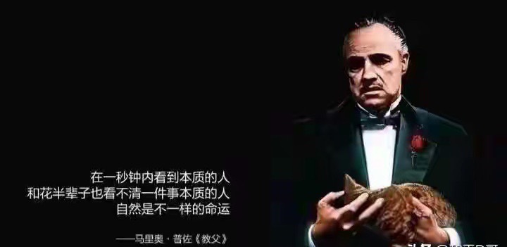 18倍茅台 vs 7倍格力：低价性价比与顶级优质股，谁才是真正的投资王者？当下A