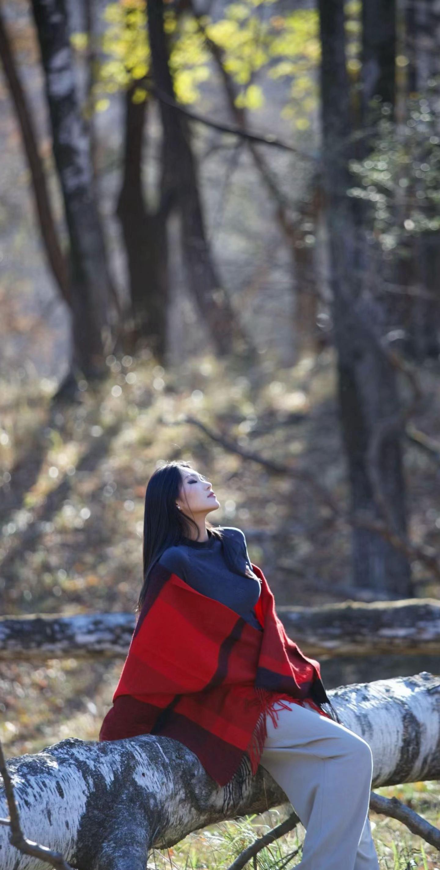 远山如黛染秋霞 枫叶红传诗意华 -张抡《踏莎行•秋入云山》