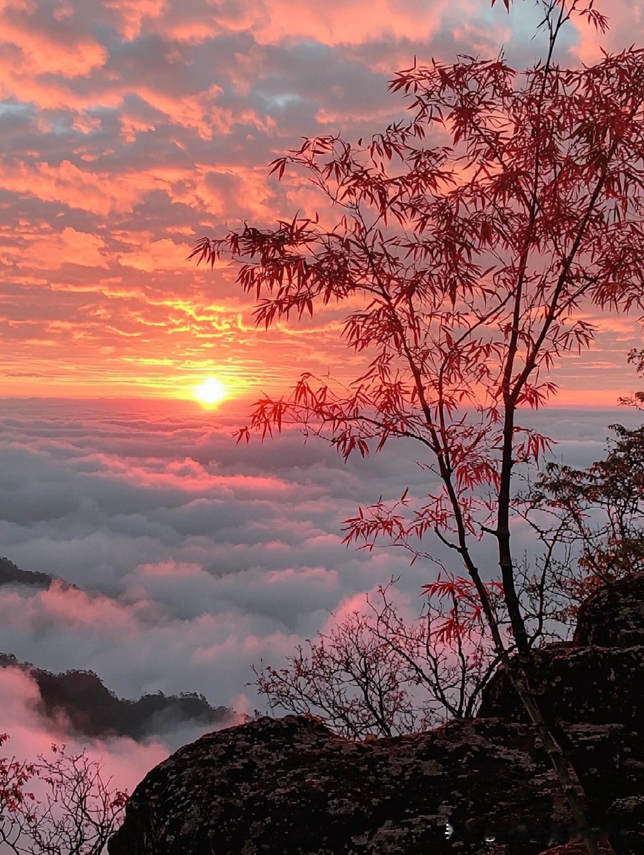 ，不妨我们交换一张。