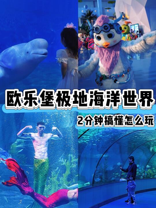带娃打卡欧乐堡海洋极地世界 看这一篇就够！