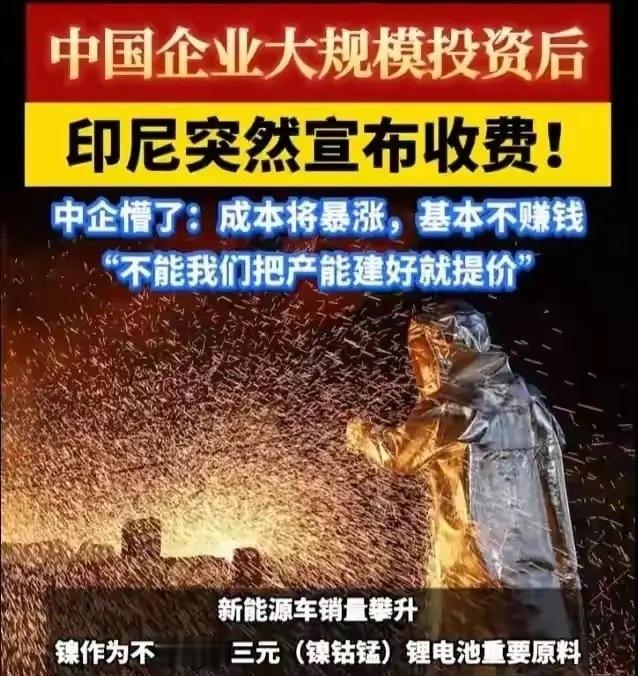 中国花140亿美元帮印尼建成全球镍都，印尼反手涨价，第二天跟日本签了军火协议。别