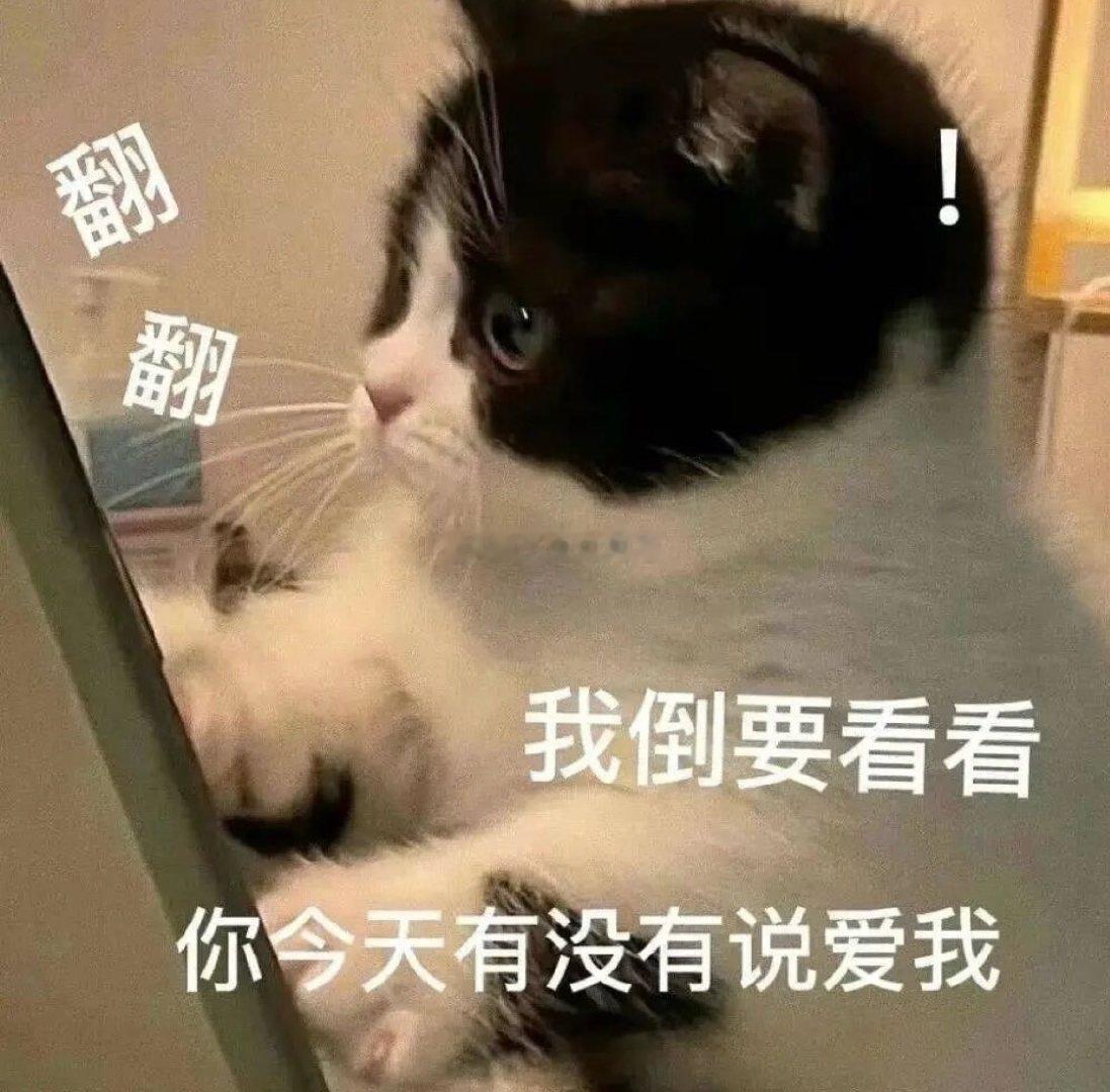 今晚🐺不在！我是大王啊哈哈哈哈让我想想我要怎么皮嘞[哇][哇][哇]还有！前几