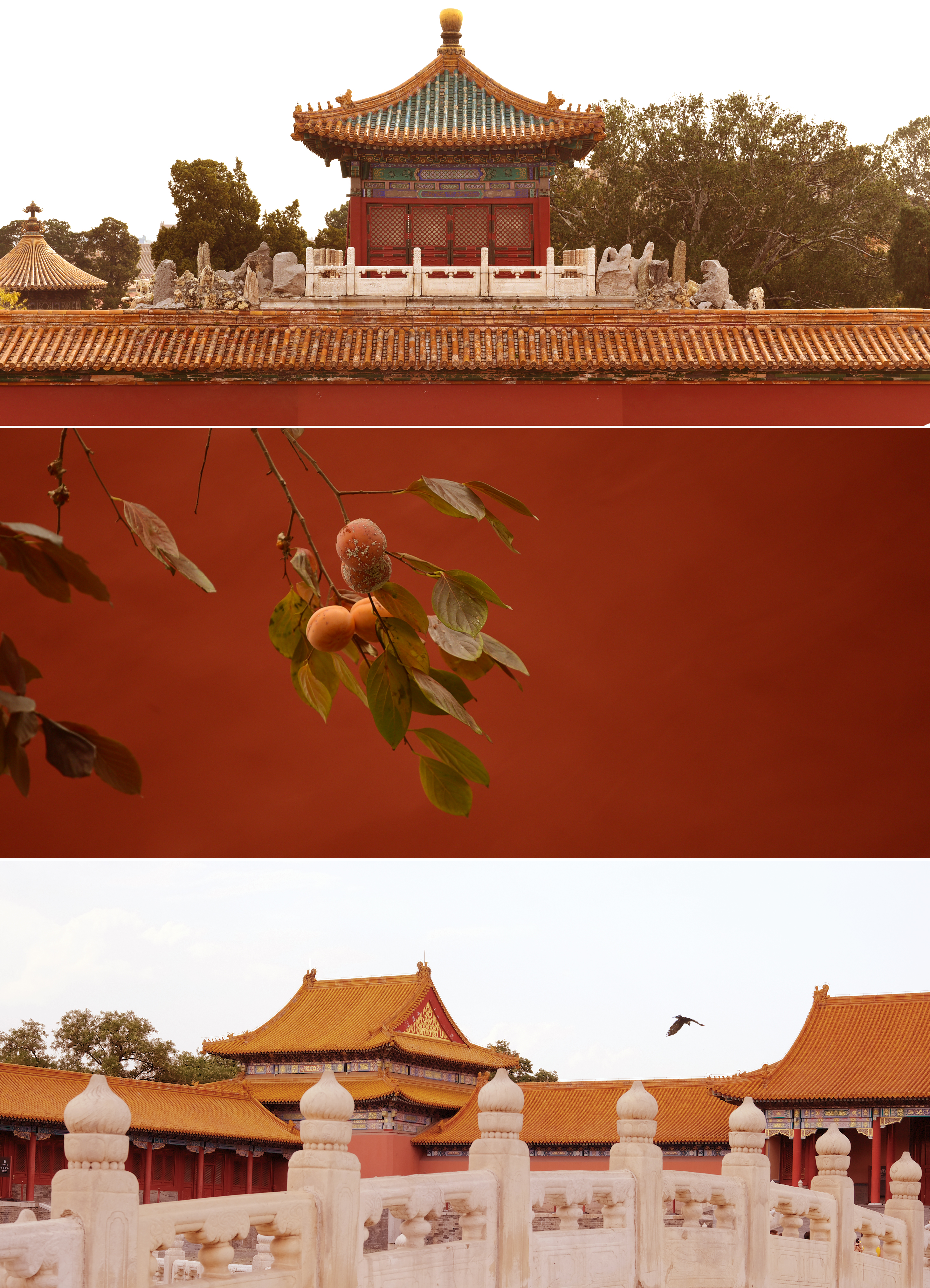 走吧 陪我看一场故宫的秋 