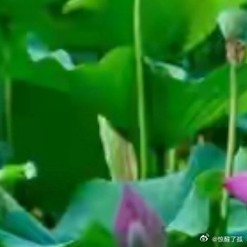 幸福不是拼命爬到山顶，也不是在山下漫无目的地游逛。幸福是向山顶努力攀登过程中的种