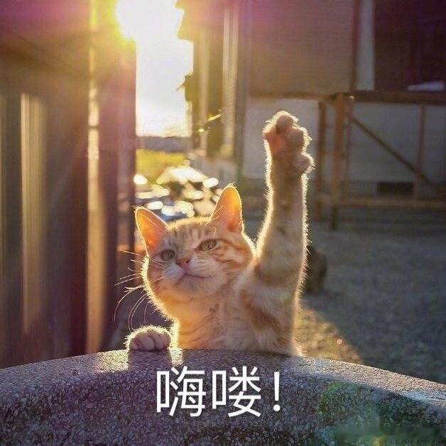陌生场合，12星座谁会先打破沉默？撑不过30秒：白羊、双子、狮子、射手五分钟后找