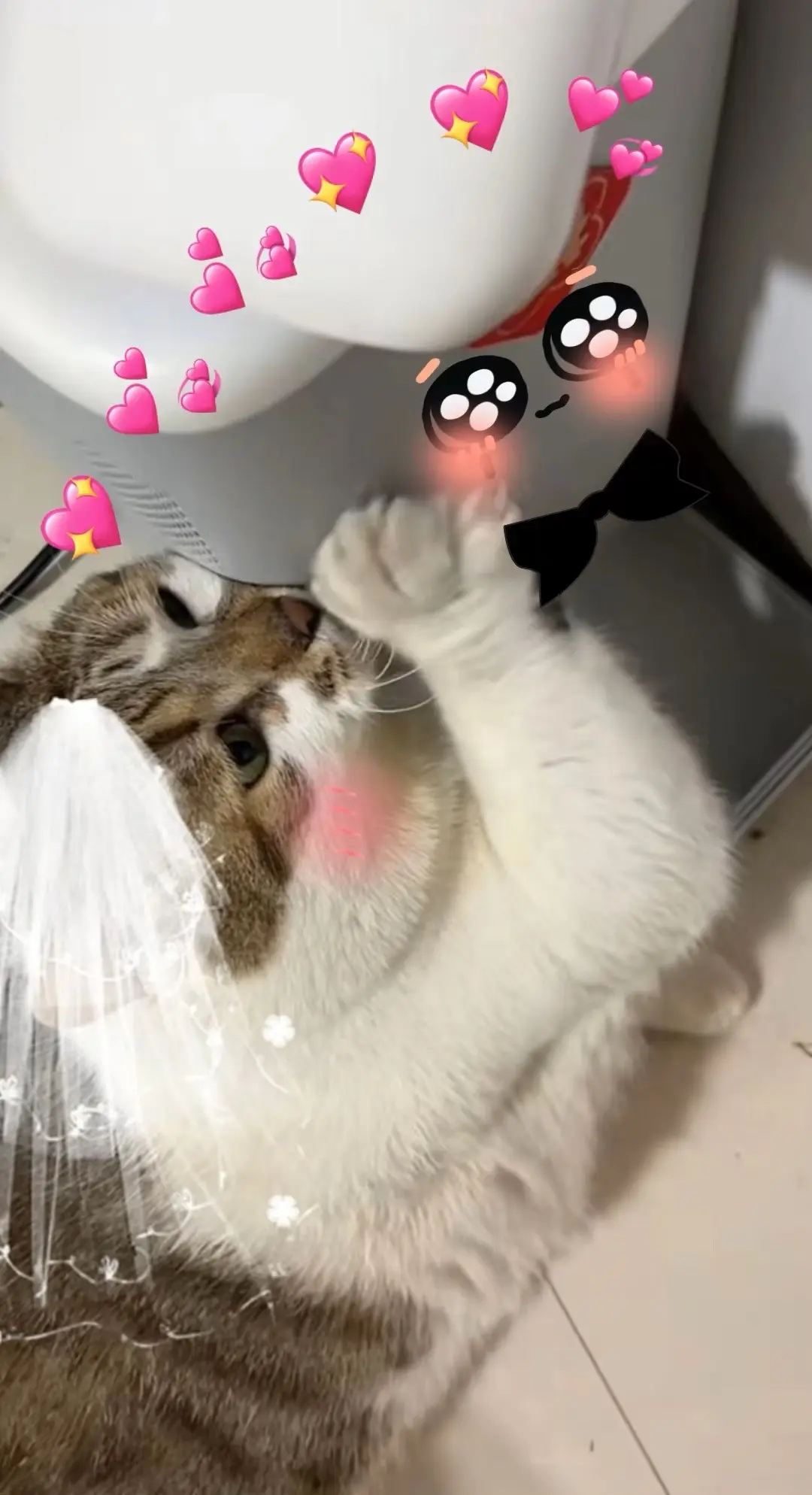 都说拍照技术差，猜图片中哪几张是我拍的？