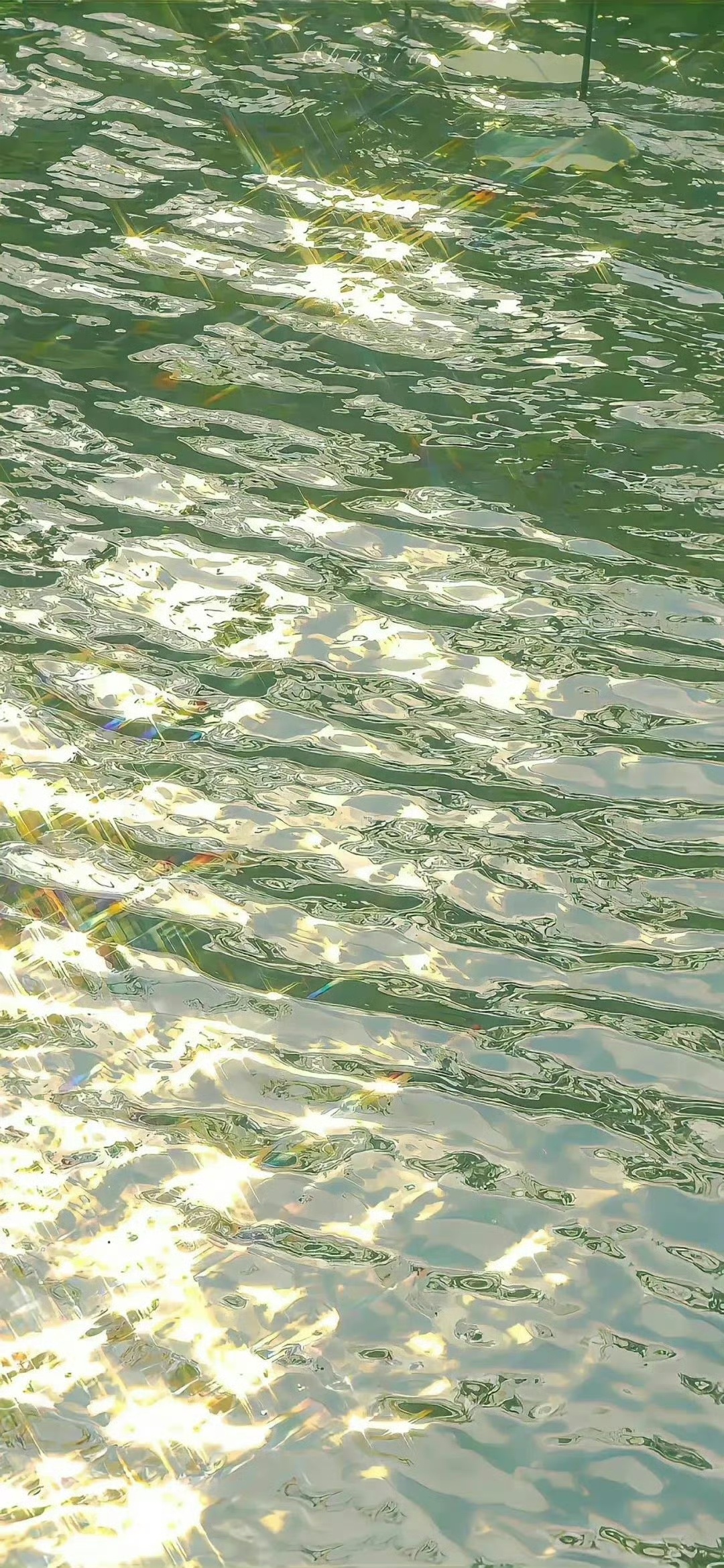 20240507日运指南辛未日今天的这个日课，并不属于土金重的日课，反而是属于土