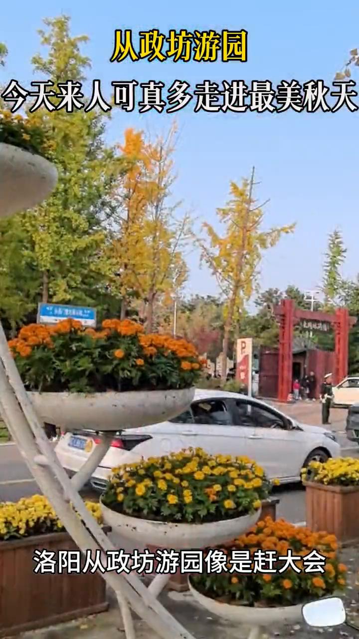 从政坊游园。
今天来人可真多，走进最美秋天。洛阳从政坊游园像是赶大会。