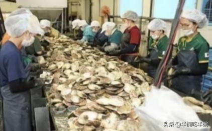 日本排放核水后，奇怪的事发生了：刚开始各国对海鲜避之不及，如今3年过去，核污染水