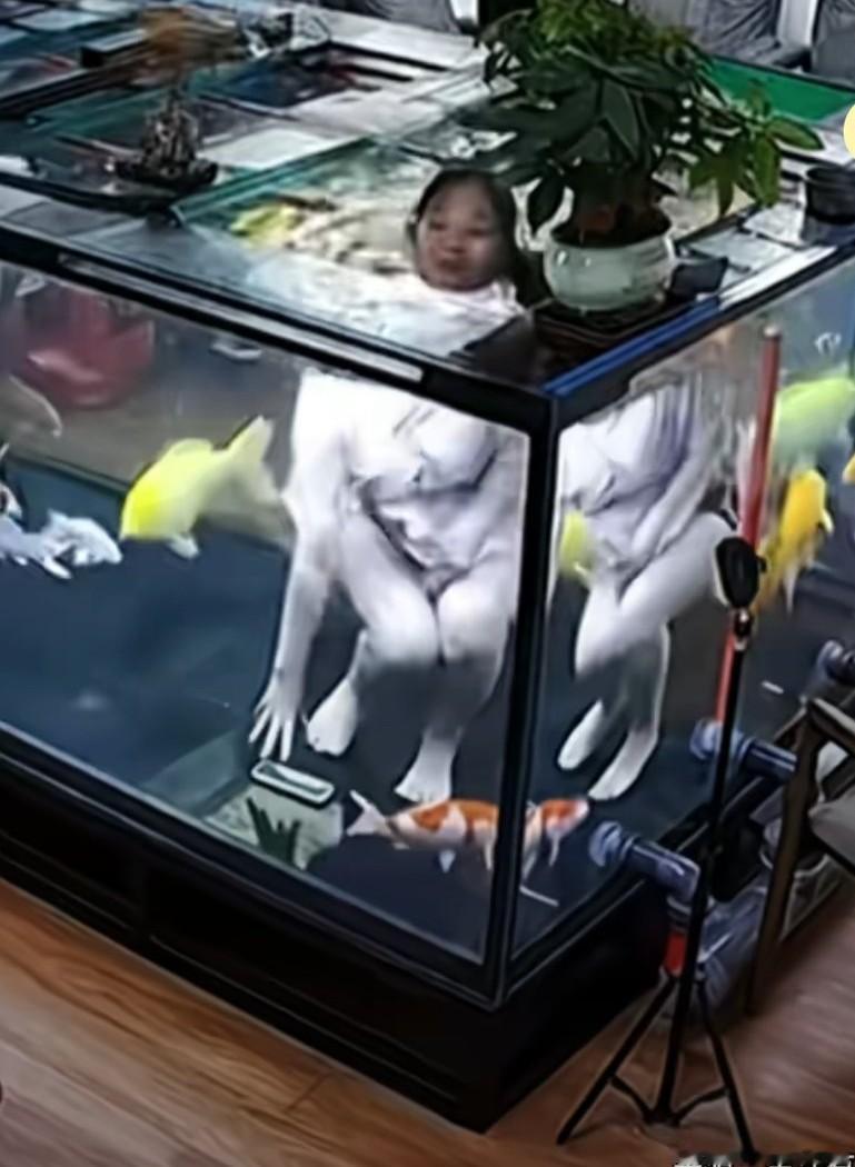 女子的手机掉进了大鱼缸里，女子想都没想，
直接跳进去捞手机。
网友说，一下水就变