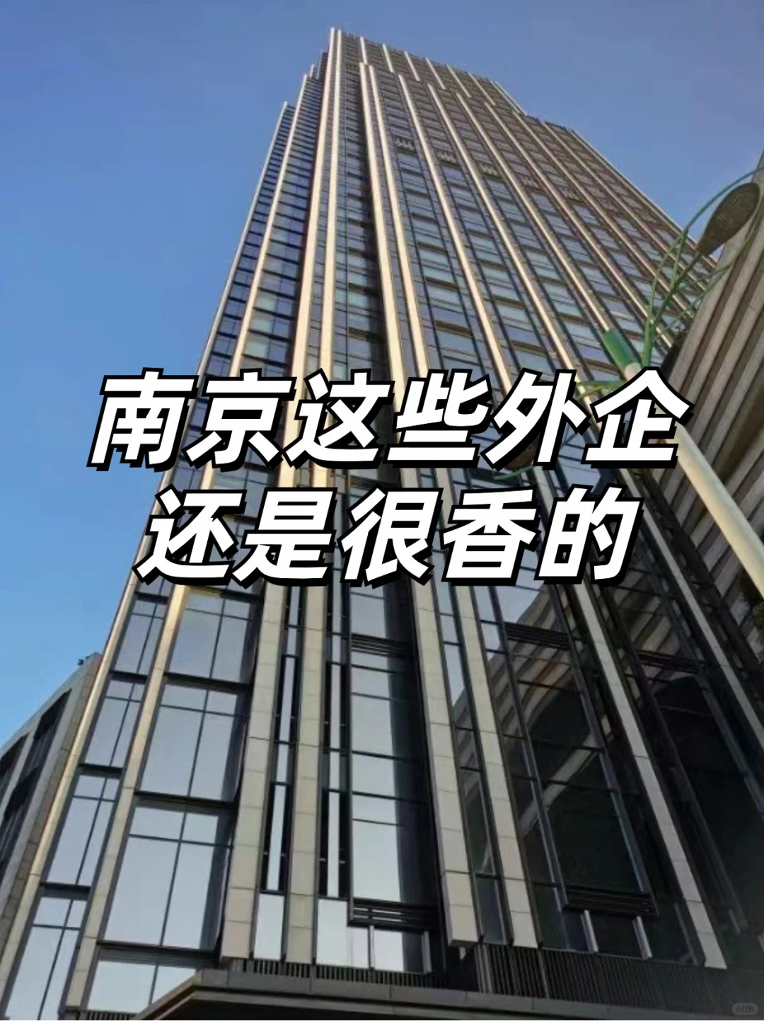 南京这些外企还是很香的