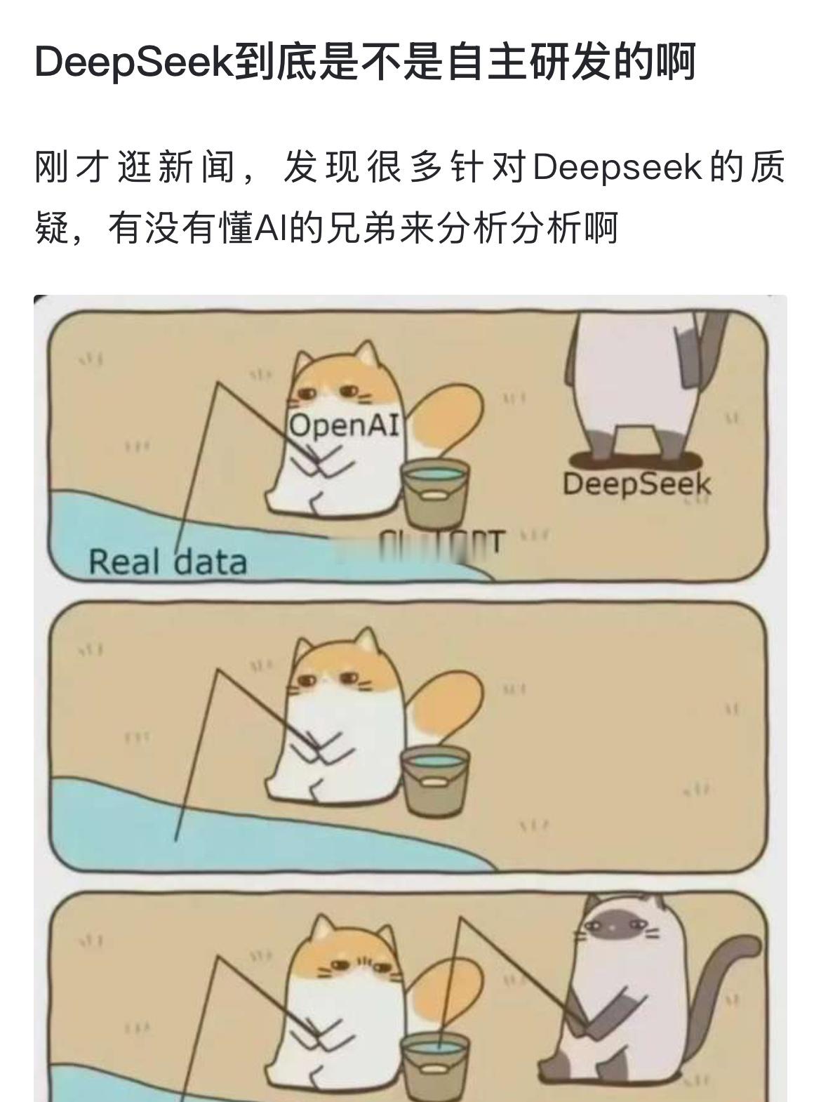 DeepSeek到底是不是自主研发的啊 